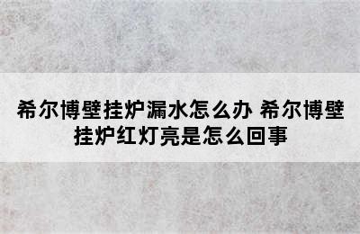 希尔博壁挂炉漏水怎么办 希尔博壁挂炉红灯亮是怎么回事